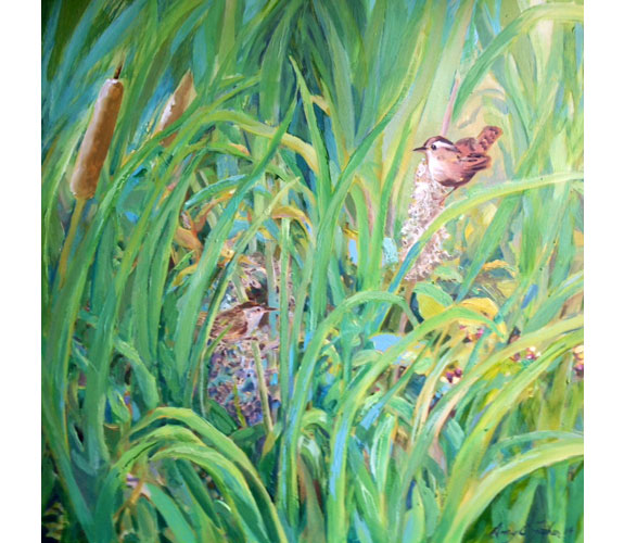 Amy Fisher "Marsh Wrens"